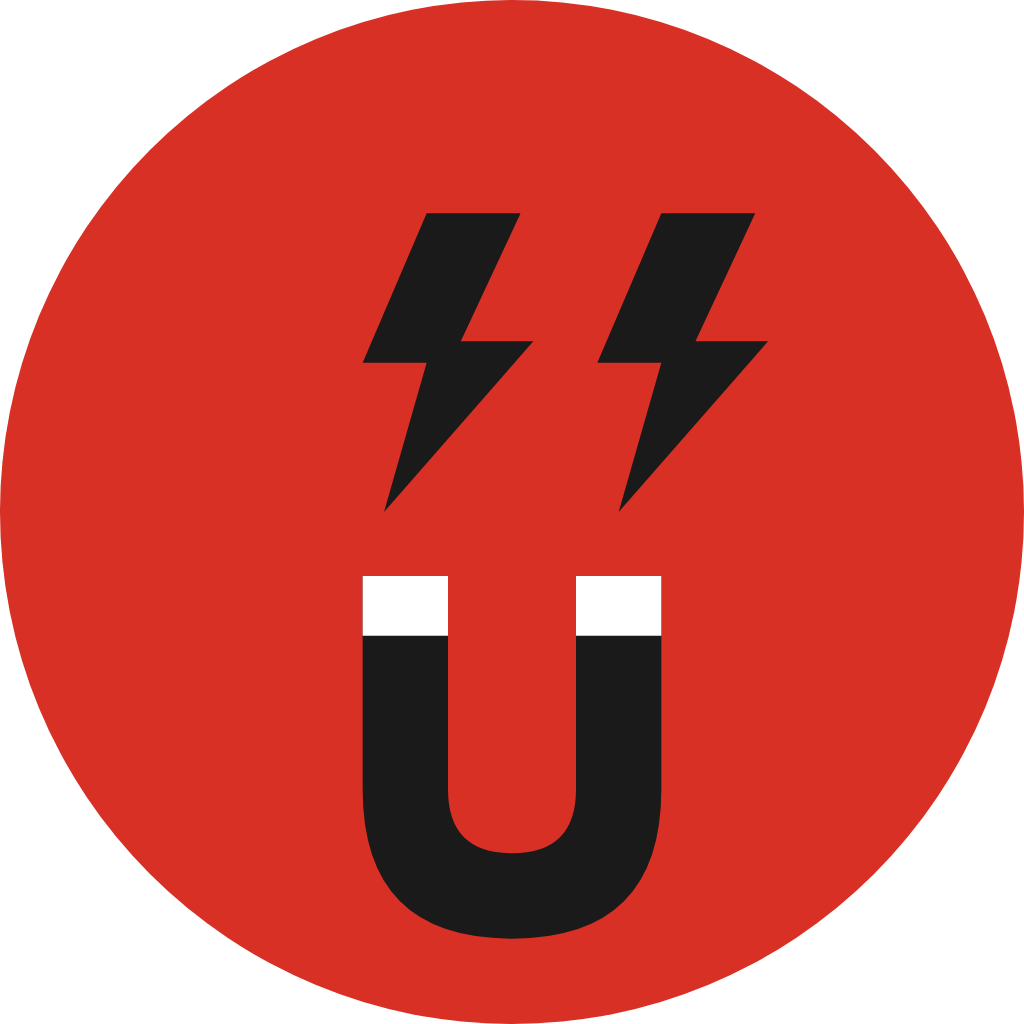 Magnetic Leads